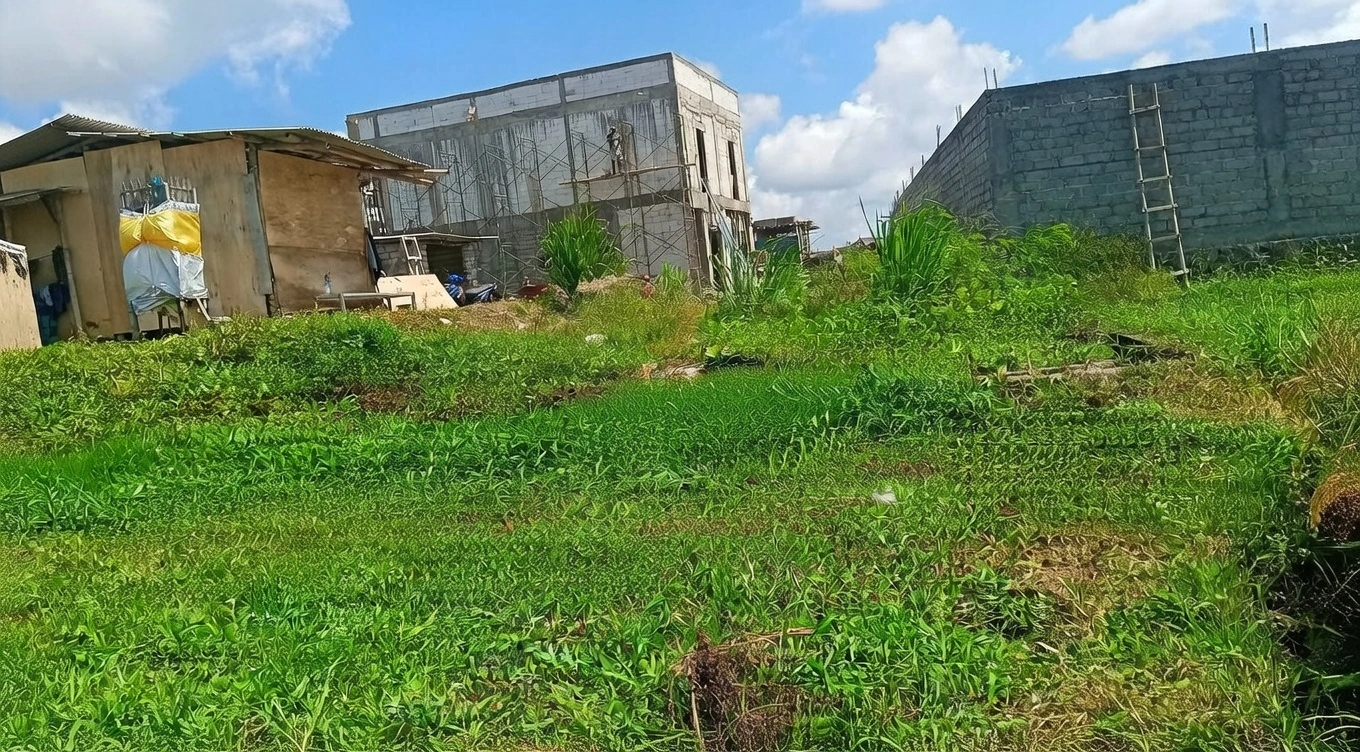 020ed319-4e4a-461d-981a-7e18167195d6