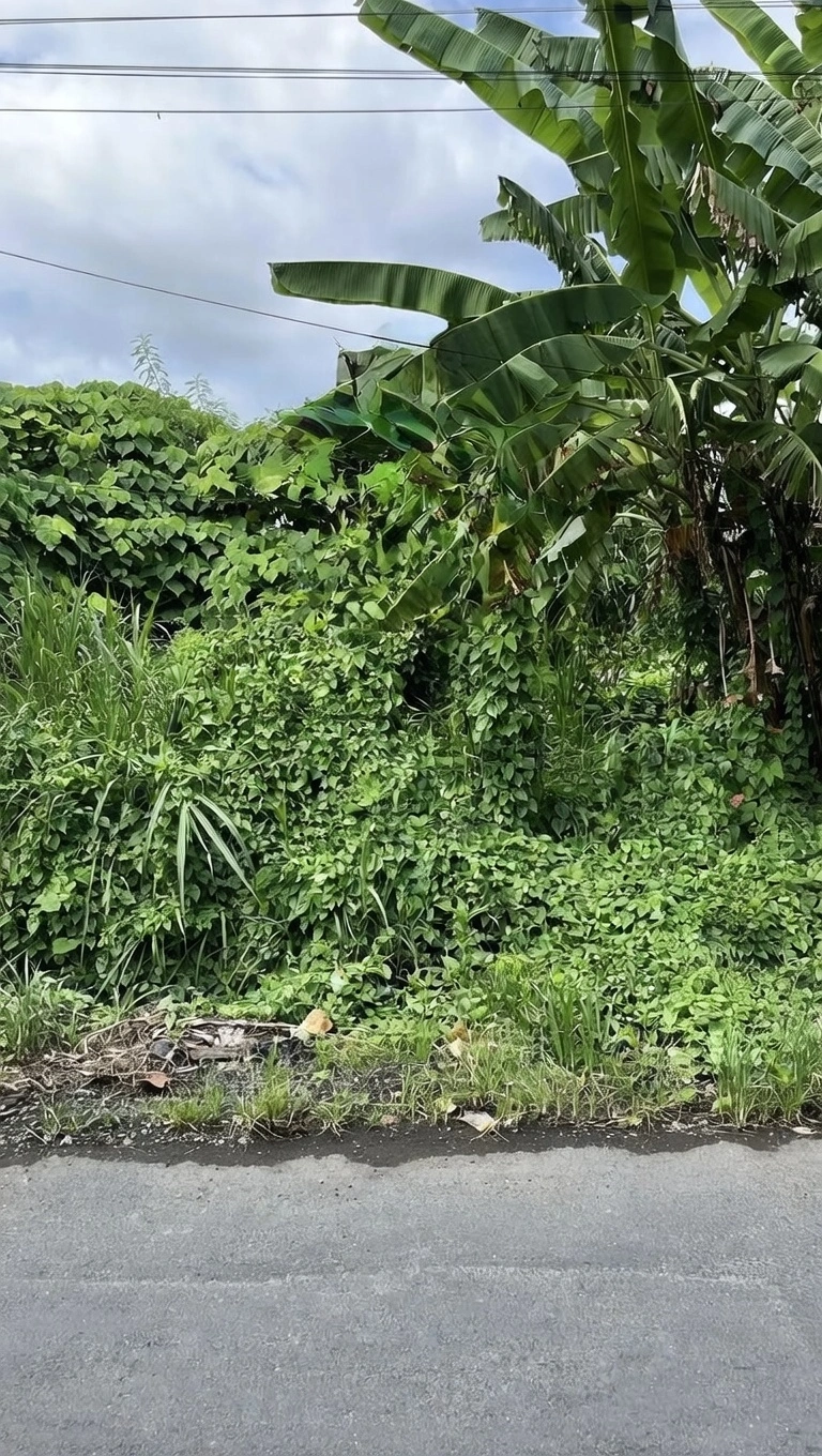 032c436e-e3f2-48e9-9172-8c8944141396