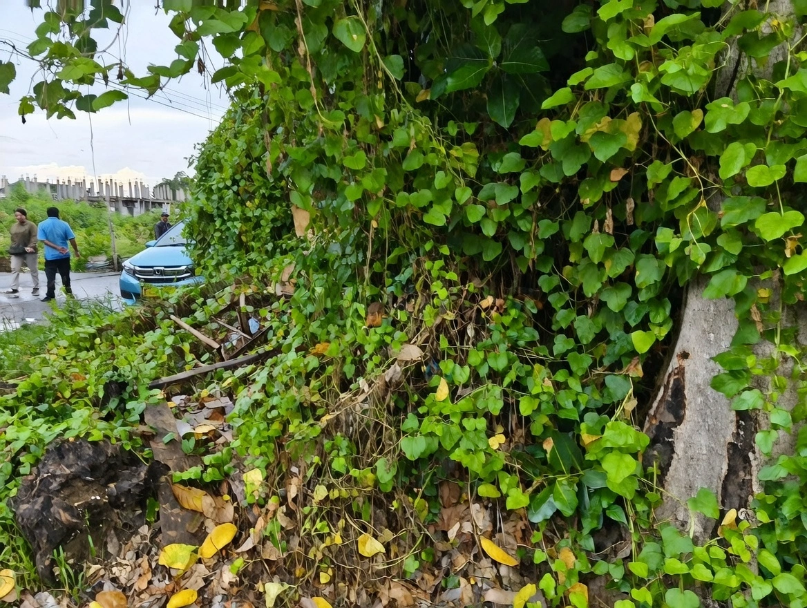 479081fd-d018-460b-a372-ffeb0d7ab493