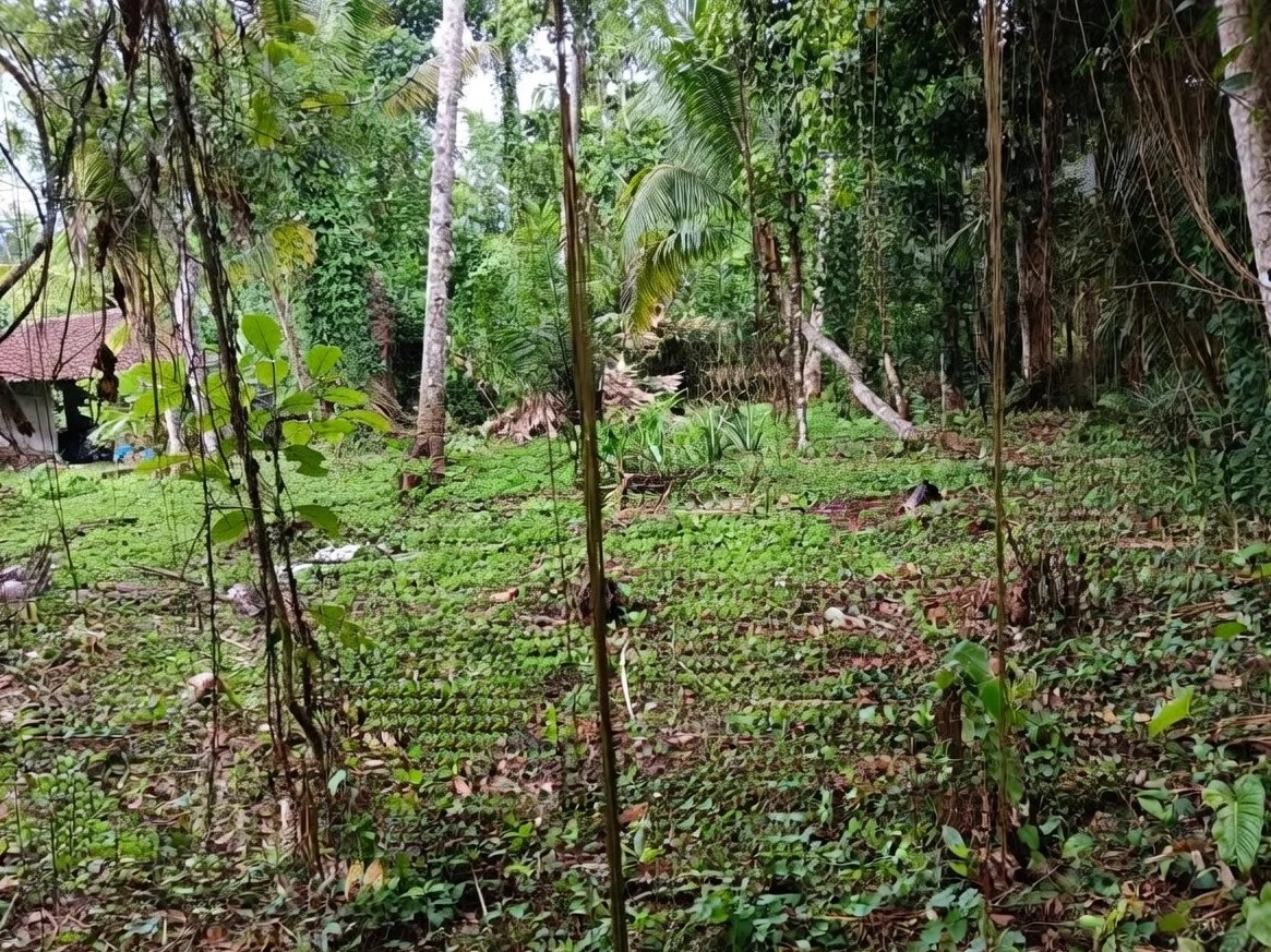 65f34f8c-9a6b-4f82-aa6d-705110977fc6