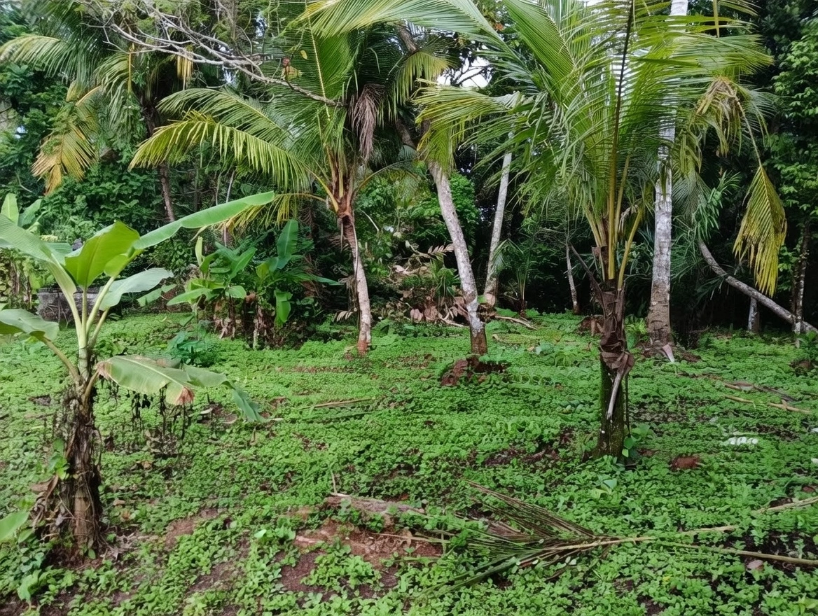 9ae0baba-edc3-46e8-90bc-313319e3a264