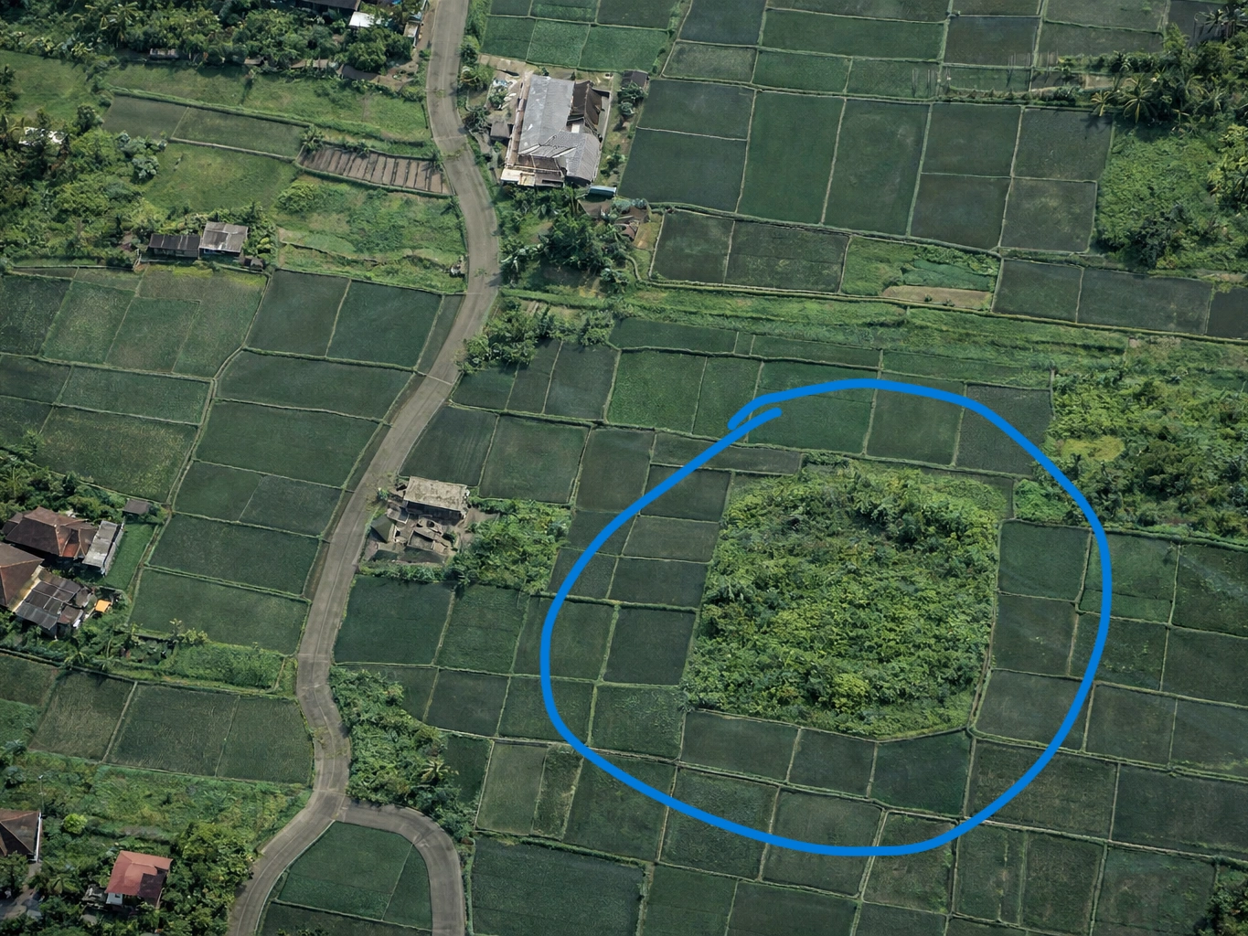 ChatGPT Image 25 Jan 2026, 14.09.47