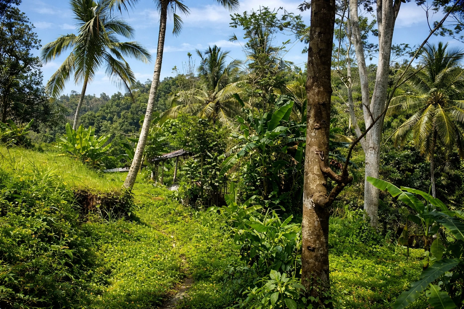 ChatGPT Image 25 Jan 2026, 15.05.12