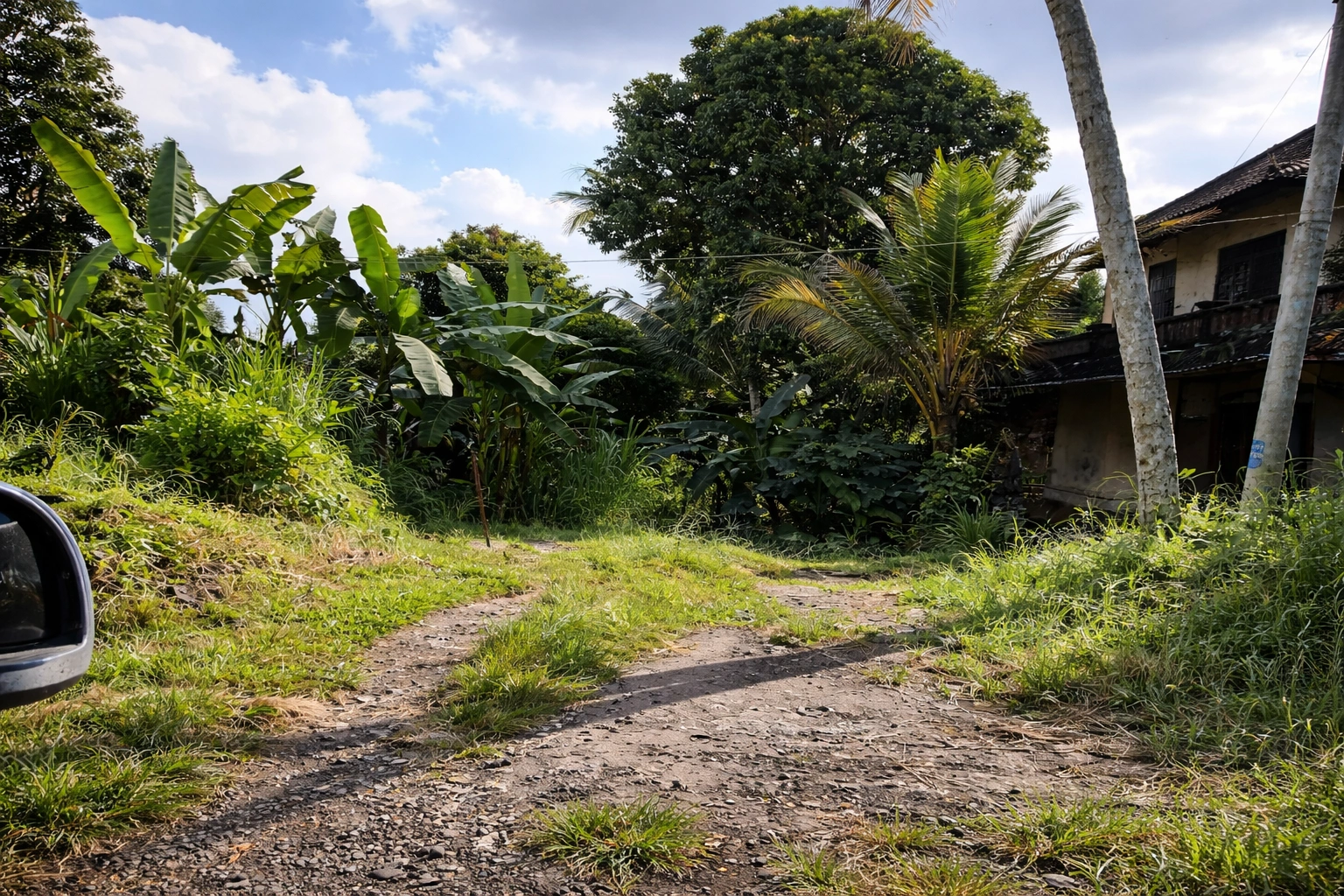 ChatGPT Image 25 Jan 2026, 15.07.05