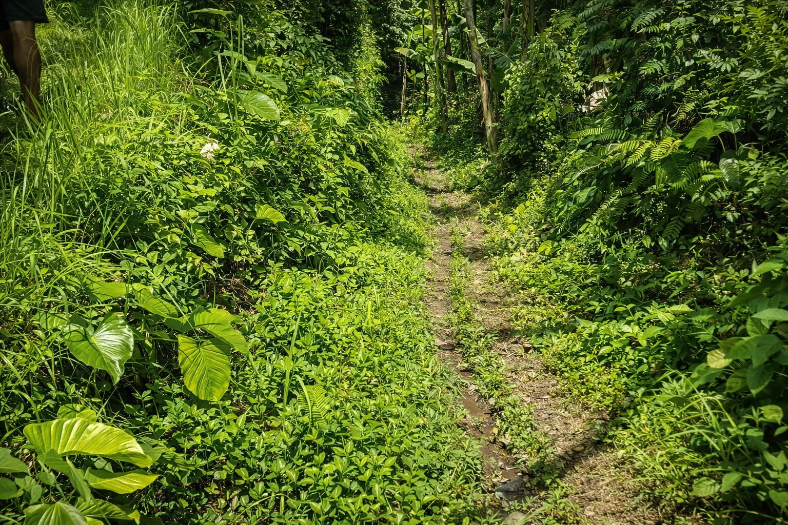 ChatGPT Image 25 Jan 2026, 15.07.58