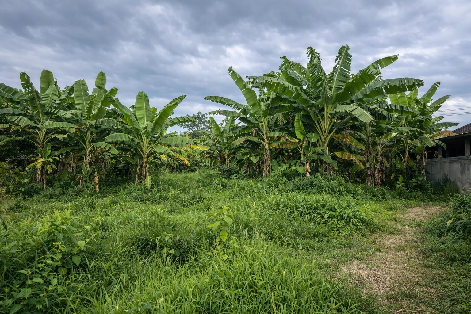 ChatGPT Image 25 Jan 2026, 16.35.27