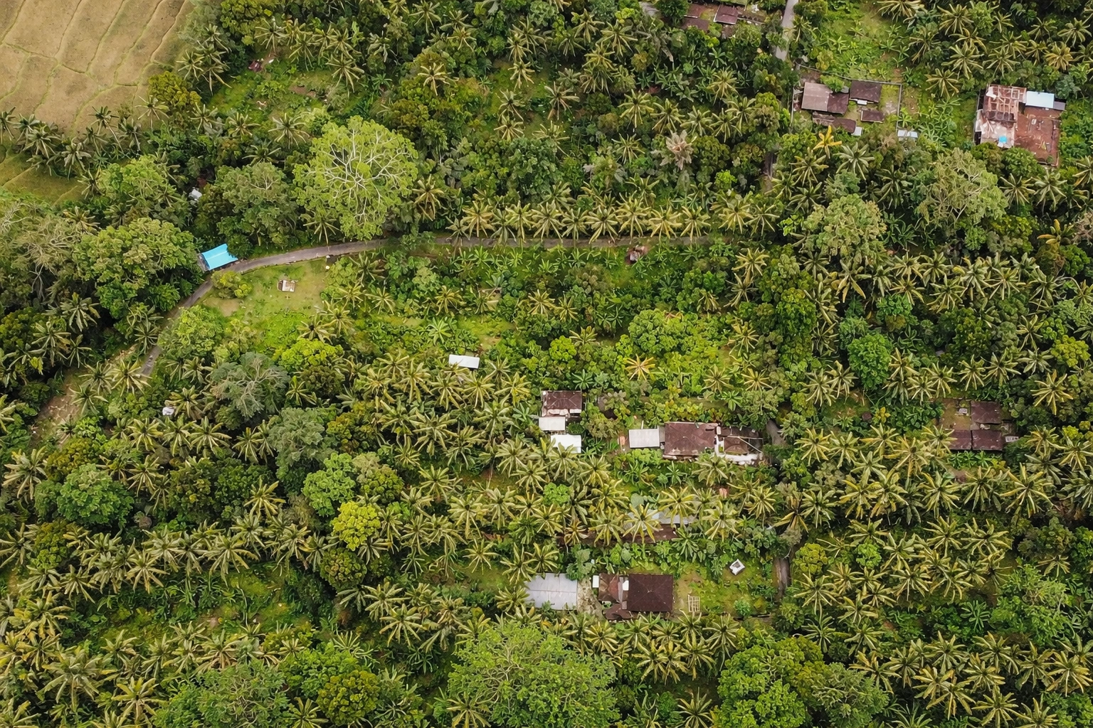 ChatGPT Image 26 Jan 2026, 16.40.12