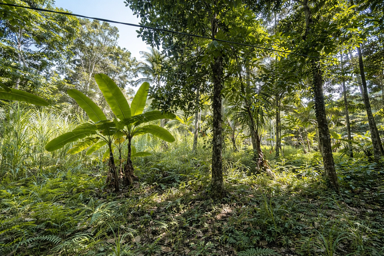 ChatGPT Image 26 Jan 2026, 16.42.41