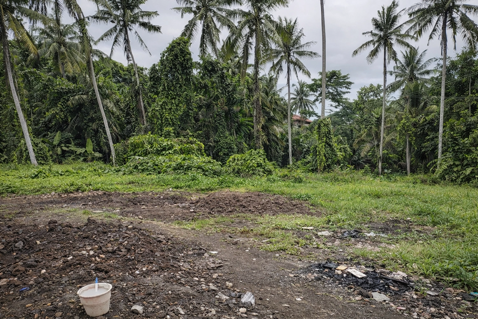 ChatGPT Image 26 Jan 2026, 16.46.06