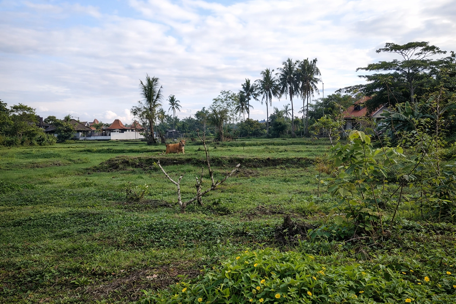 ChatGPT Image 27 Jan 2026, 09.55.41