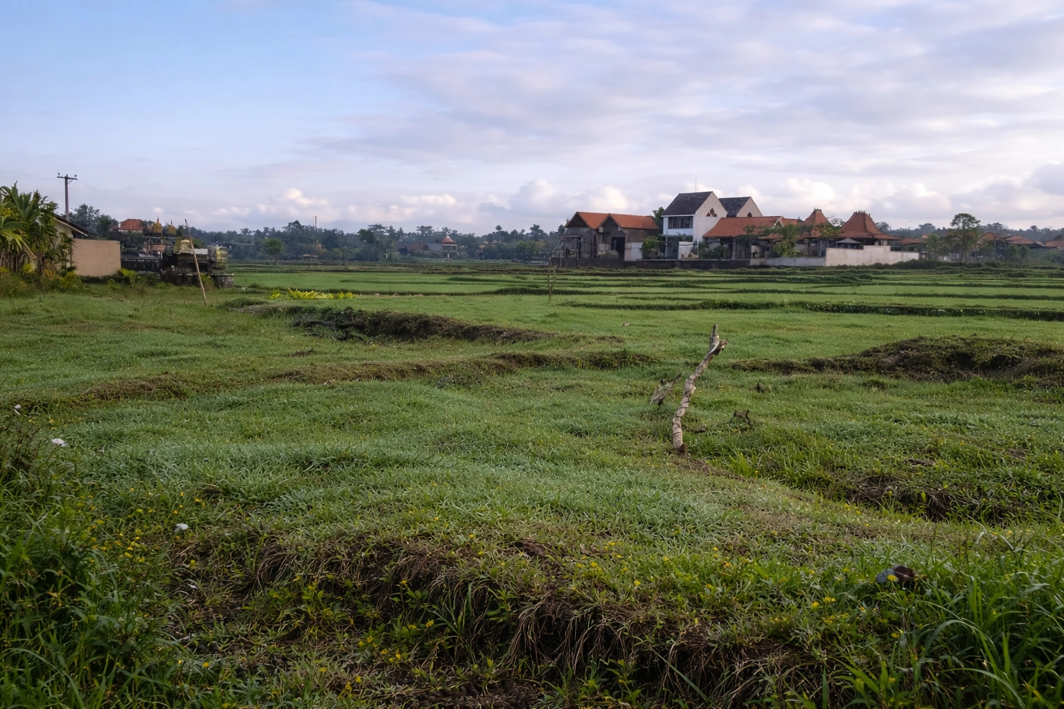 ChatGPT Image 27 Jan 2026, 10.00.36