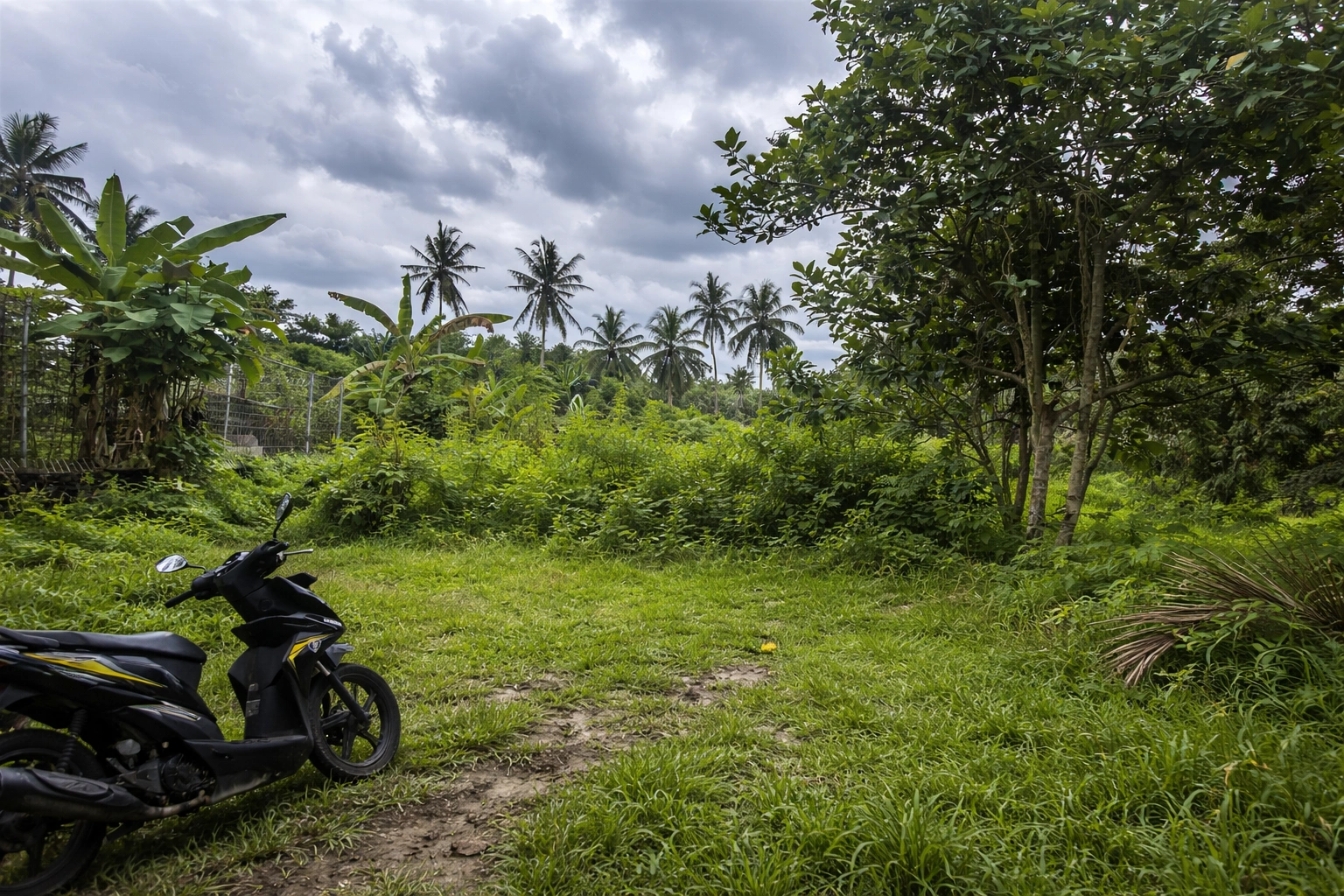 ChatGPT Image 27 Jan 2026, 10.31.09