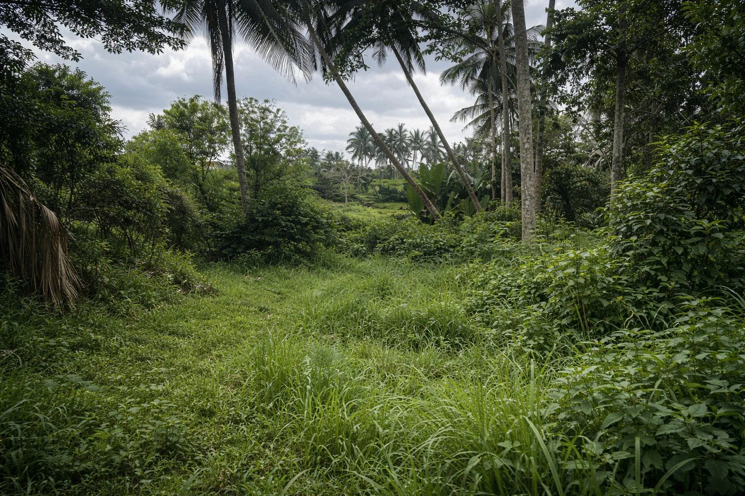 ChatGPT Image 27 Jan 2026, 10.31.21