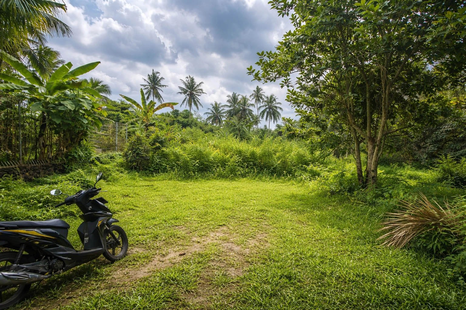 ChatGPT Image 31 Jan 2026, 09.28.37