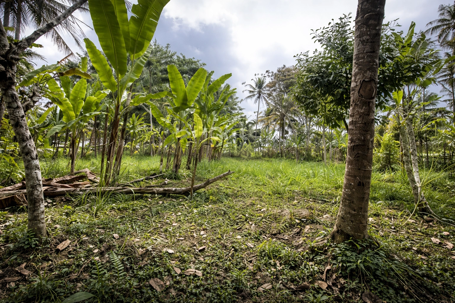 ChatGPT Image 31 Jan 2026, 10.19.29