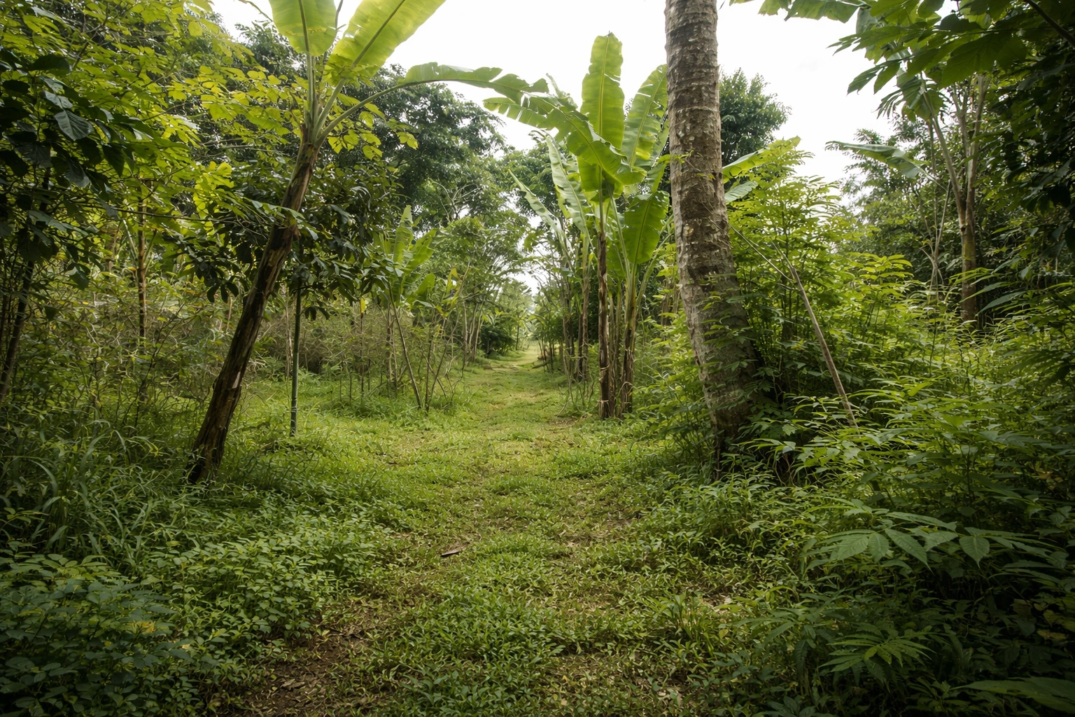 ChatGPT Image 31 Jan 2026, 10.19.43