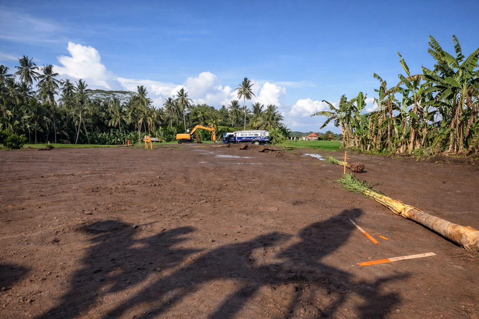 ChatGPT Image 31 Jan 2026, 10.36.51