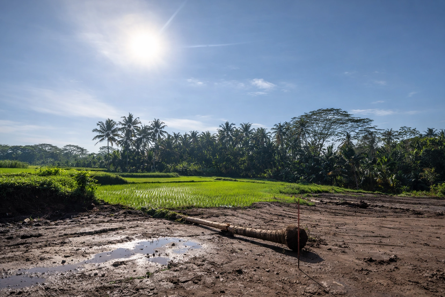 ChatGPT Image 31 Jan 2026, 10.36.59