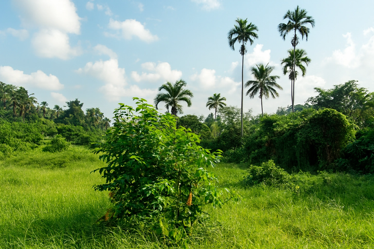 Copilot_20260126_154417