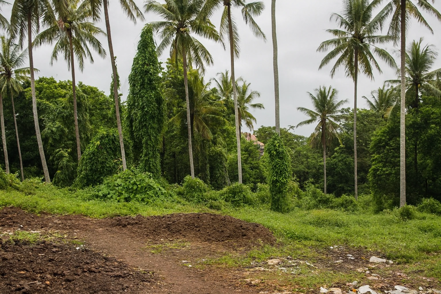 Copilot_20260126_164739