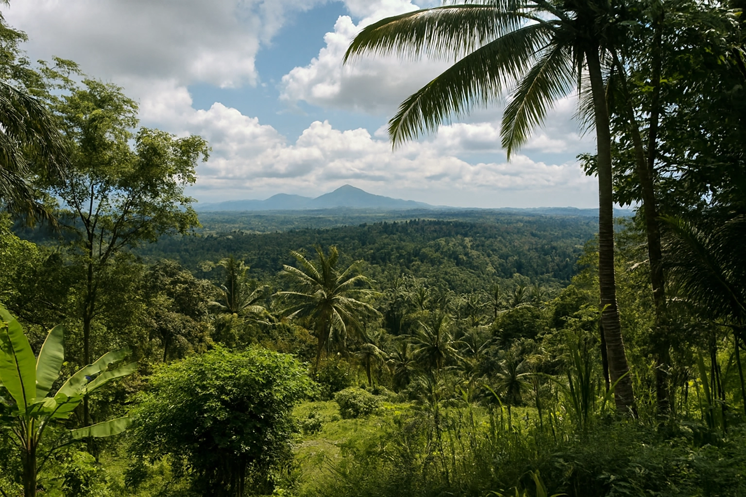 Copilot_20260131_102050