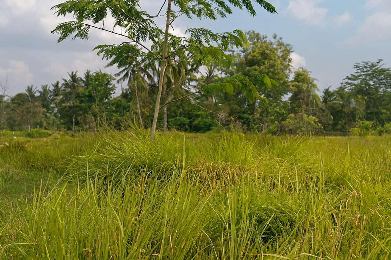 Copilot_20260131_105728