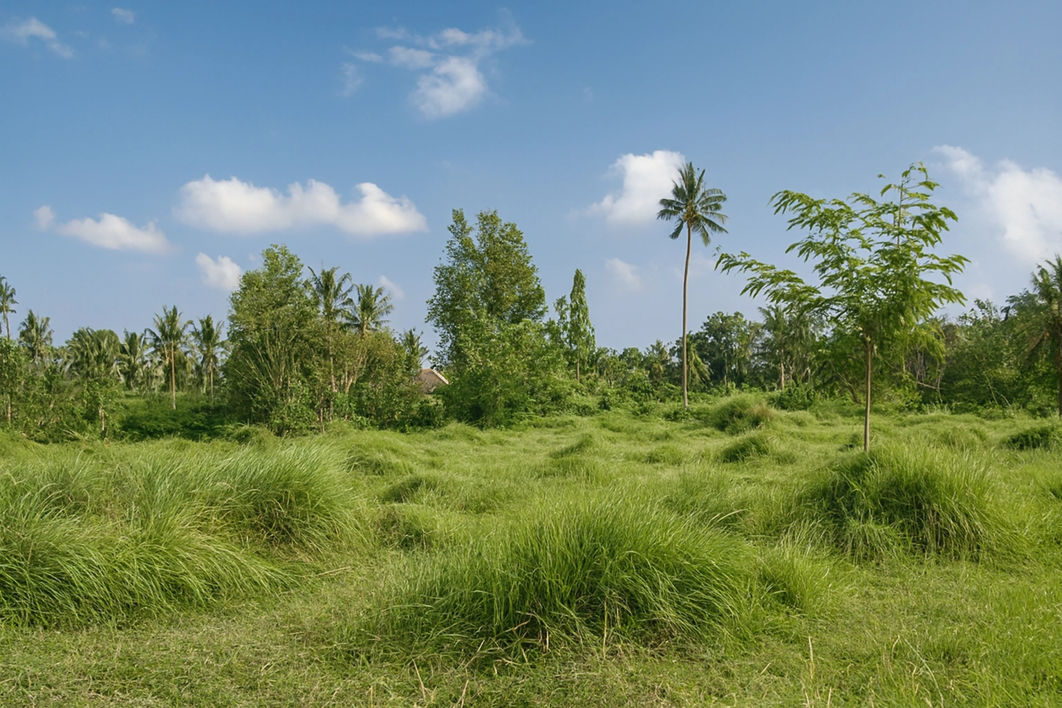 Copilot_20260131_105739