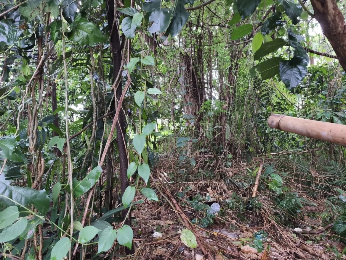 b773b9a4-f6a2-4f7b-99df-f41cf0e05f39