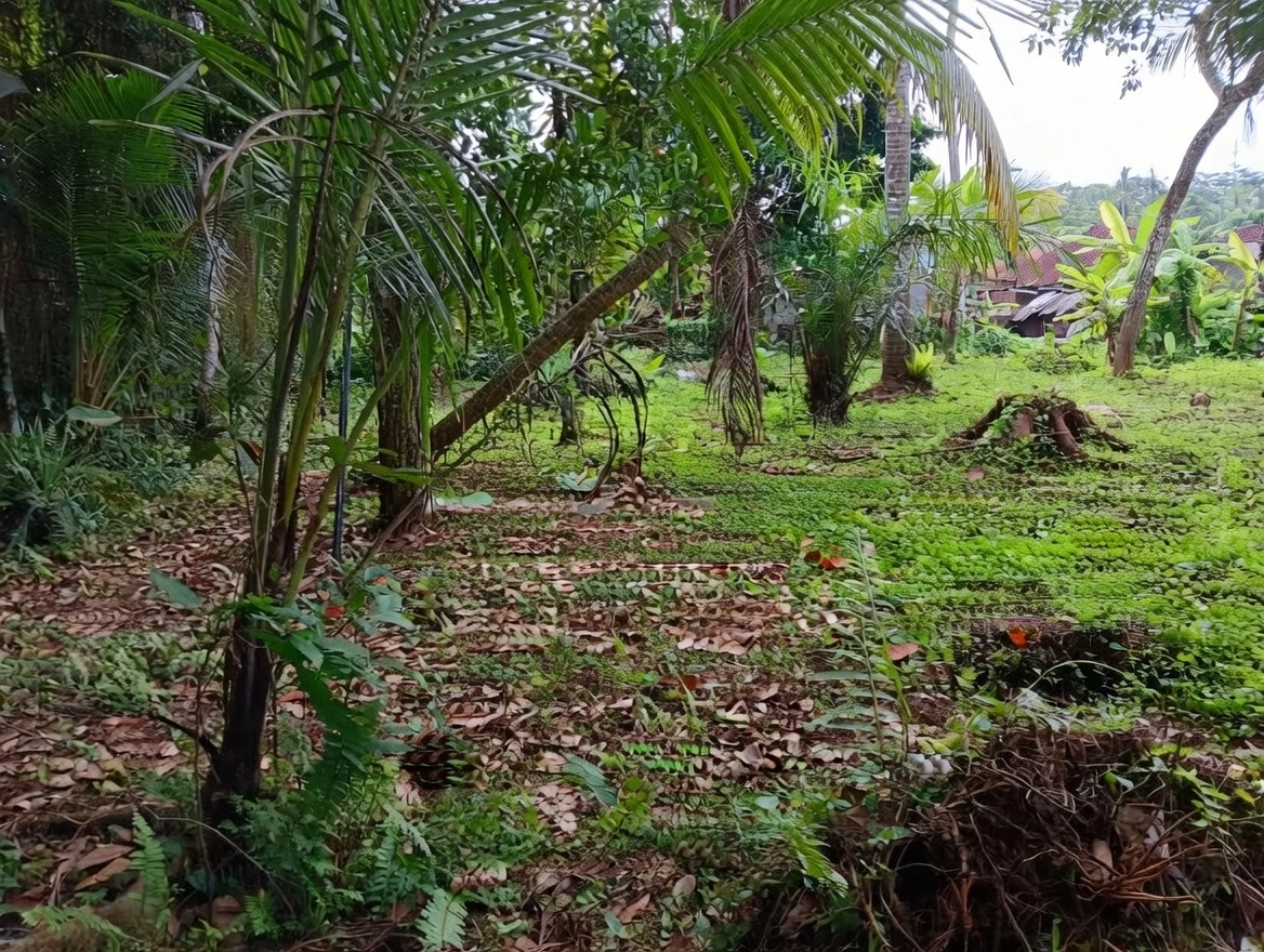 c04ee7d4-1e09-4710-bf85-7b7b94b55da7