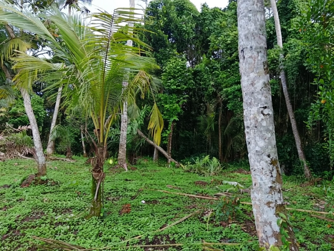 d538ffd0-0bc0-408a-a36f-b64db0e017ee