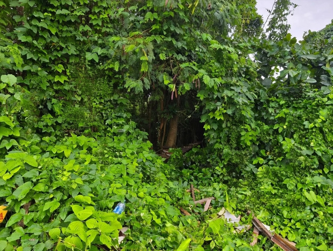 dae2babc-18ef-4984-ab98-a54c9ef2ea26