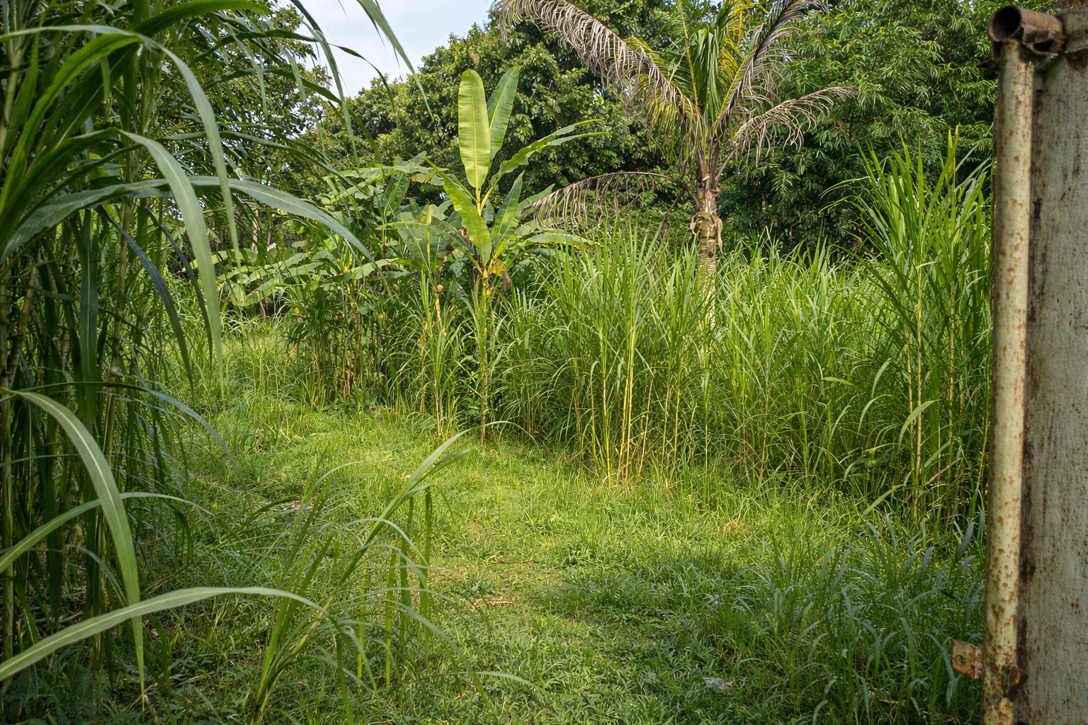 ChatGPT Image 3 Feb 2026, 12.05.39