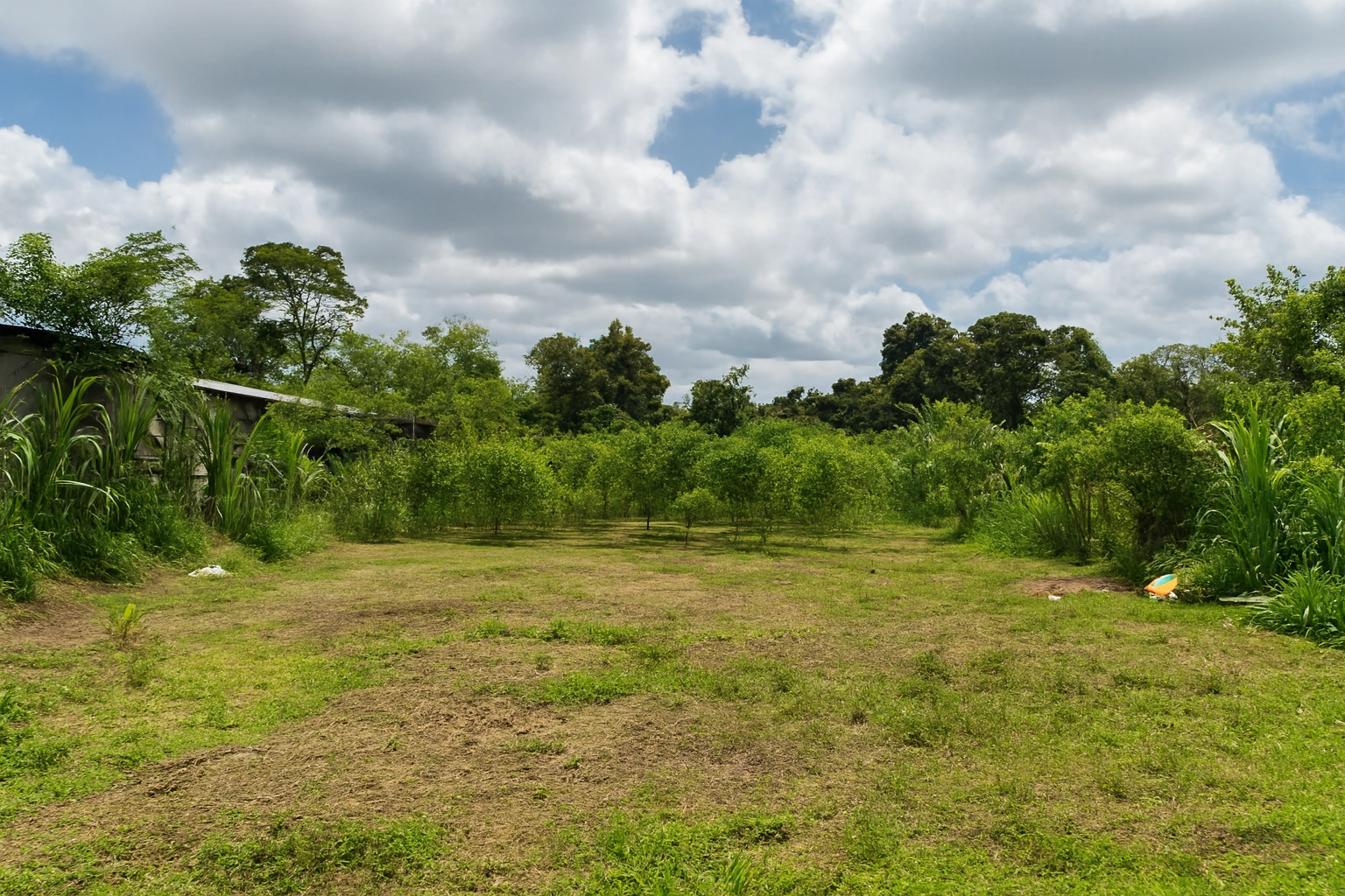 Copilot_20260203_084912