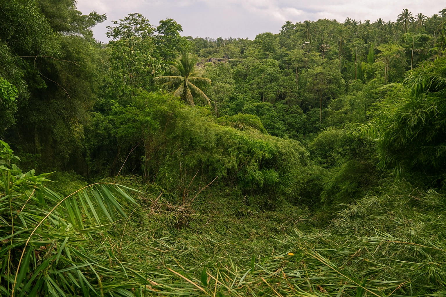 Copilot_20260203_091544