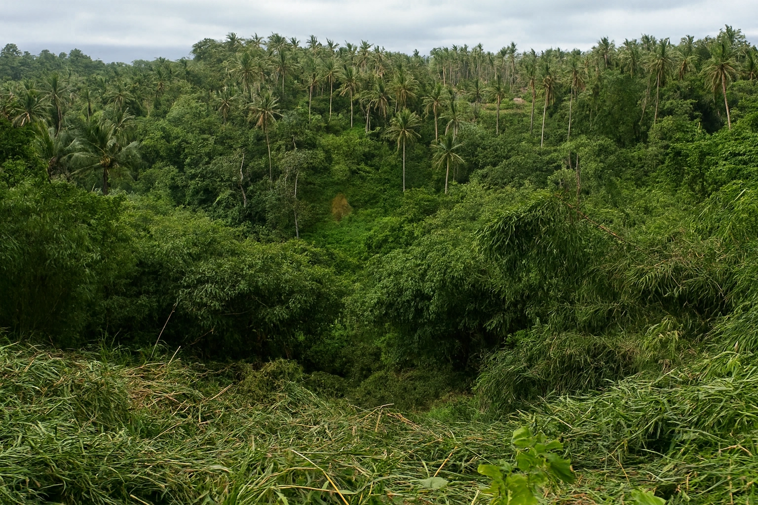 Copilot_20260203_091628